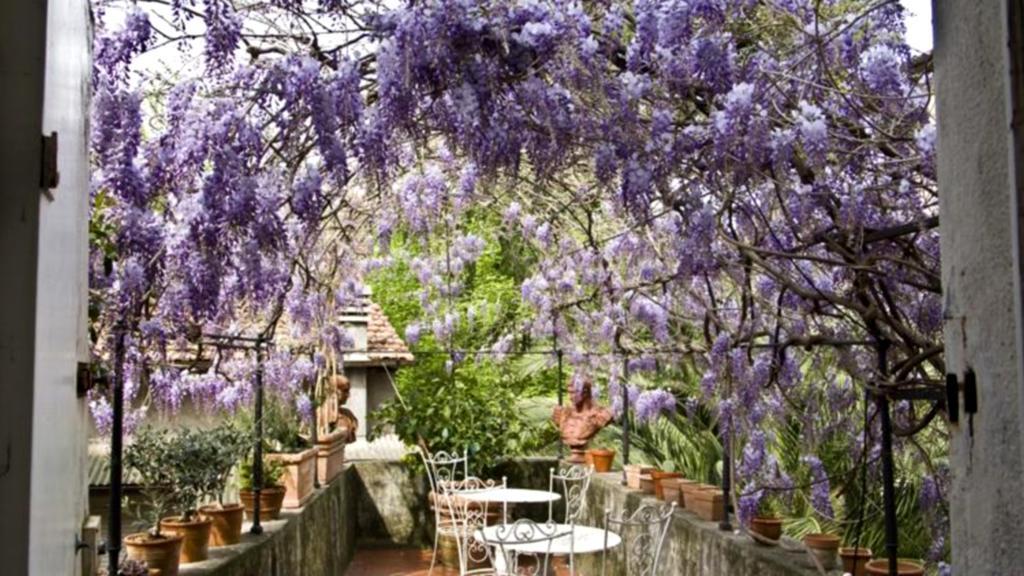 Locanda Sant' Agostino Лукка Екстер'єр фото